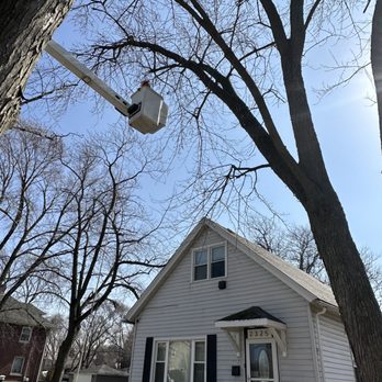 JN Landscaping & Tree services - Removal above house - Landscaping Near Me JN Landscaping & Tree services - Removal above house - Landscaping Near Me
