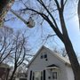 Photo of JN Landscaping & Tree services