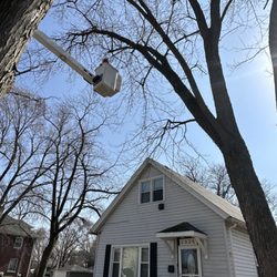 JN Landscaping & Tree services - Removal above house