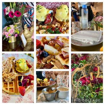 Little Hen - Brunch! - Breakfast & Brunch Near Me - Weston, Florida Little Hen - Brunch! - Breakfast & Brunch Near Me - Weston, Florida