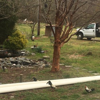 Drainfield Solutions - New pipes - Septic Services Near Me - Milford, Virginia