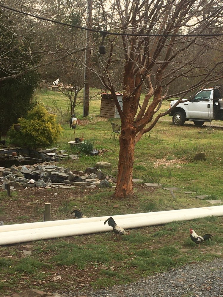 Slide of Drainfield Solutions