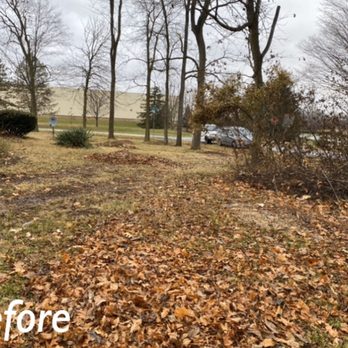 Yard Smart Lawn Maintenance - Fall cleanup! - Lawn Services Near Me Yard Smart Lawn Maintenance - Fall cleanup! - Lawn Services Near Me
