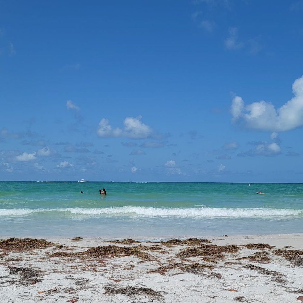 Lido Beach - Really nice beach - Beaches Near Me - Sarasota, Florida Lido Beach - Really nice beach - Beaches Near Me - Sarasota, Florida