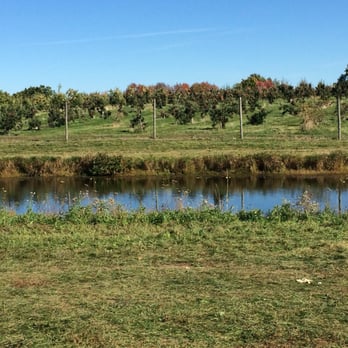 Apple Dave’s Orchards - Beautiful scenery - Fruits & Veggies Near Me - Warwick, New York