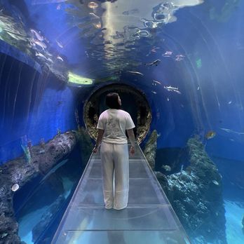 Mississippi Aquarium - Aquariums Near Me - Gulfport, Mississippi