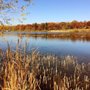 Photo of Wood Dale Grove Forest Preserve