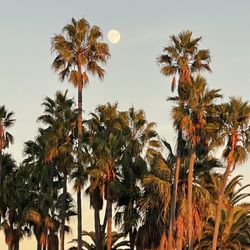 Sights L.A.
