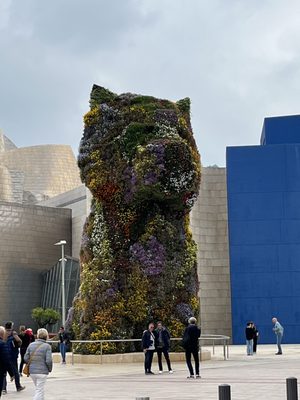 Guggenheim Museum Bilbao by null