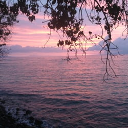 Tahiti Sweetie - GET A TAN  ON MAUI THE CANCER FREE WAY!