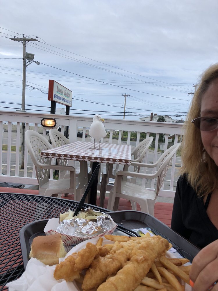 LITTLE JACK’S SEAFOOD RESTAURANT & LOBSTER POOL CLOSED 61 Reviews