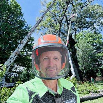 Lamb Brothers Tree Service - Tree Services Near Me - Murray, Kentucky Lamb Brothers Tree Service - Tree Services Near Me - Murray, Kentucky