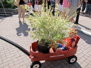 Lansdale Farmers' Market - outdoor market by null