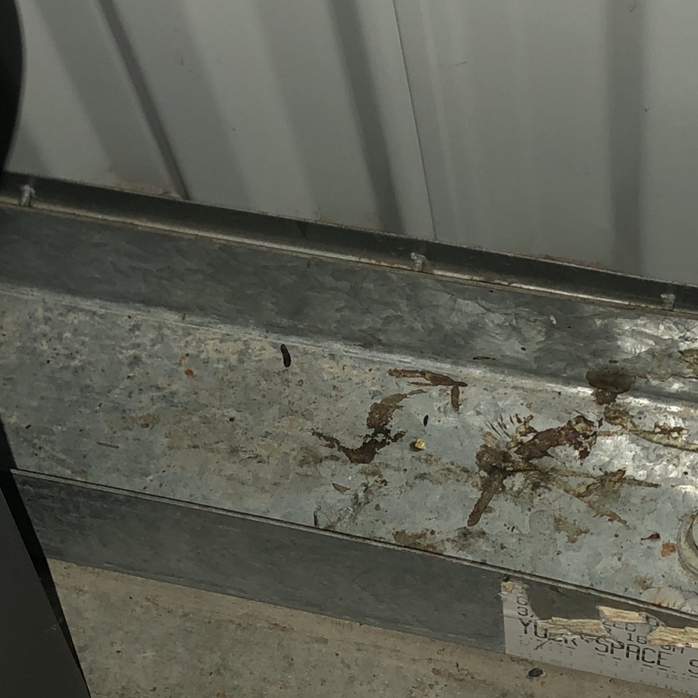 Your Space Self Storage - Norwalk - Rat poop - Self Storage Near Me - Norwalk, California Your Space Self Storage - Norwalk - Rat poop - Self Storage Near Me - Norwalk, California