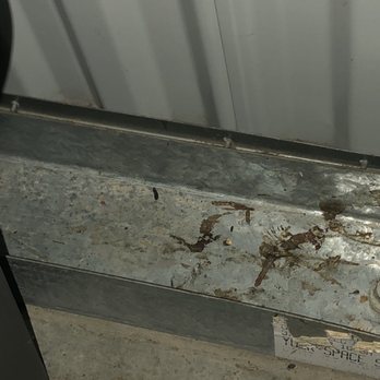 Your Space Self Storage - Norwalk - Rat poop - Self Storage Near Me - Norwalk, California Your Space Self Storage - Norwalk - Rat poop - Self Storage Near Me - Norwalk, California