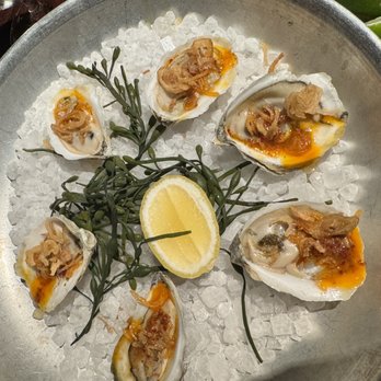 Bludorn - smoked Oysters - New American Near Me - Houston, Texas Bludorn - smoked Oysters - New American Near Me - Houston, Texas