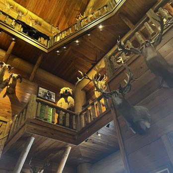 Bass Pro Shops - I think that bear was going to attack - Outdoor Gear Near Me - Tacoma, Washington