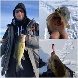 Ziggy’s - Great catch on the new jigs