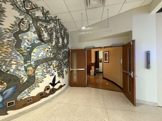Banner - University Medical Center Phoenix by null