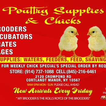 Poultry Supply Store - For All Your Poultry Needs! - Pet Stores Near Me - Cortlandt, New York