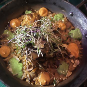 Seven Reasons - Mushroom rice - Latin American Near Me - Washington, DC, District of Columbia