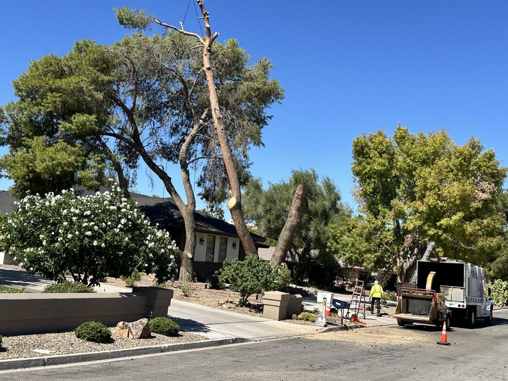 Noble Tree Service - tree service in Las Vegas, NV