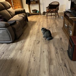 Lippert's Carpet One and Kiba Studios - New flooring.