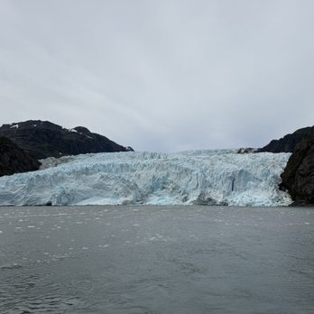 Major Marine Tours - Glacier - Tours Near Me - Anchorage, Alaska Major Marine Tours - Glacier - Tours Near Me - Anchorage, Alaska