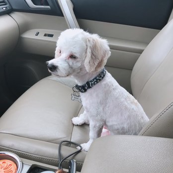 Milly's Dog Grooming - Pet Groomers Near Me - San Diego, California