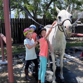 Franktown Meadows Equestrian Facility - Pony painting - Horseback Riding Near Me - Washoe Valley, Nevada