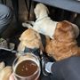 Copper Leaf Brewing