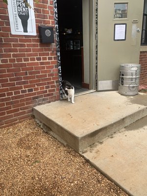 Right Proper Brewing Co. Brookland Production House + Tasting Room by null