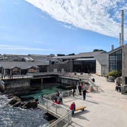 Monterey Bay Aquarium - Outside, very nice views and they do scuba training in the middle area