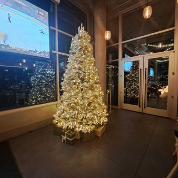 Lucero Rooftop Restaurant + Bar - Bars Near Me - Tempe, Arizona