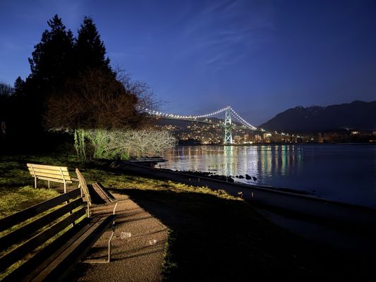 Stanley Park by null