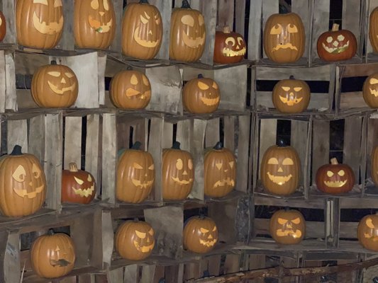 Haunted Gallows by null