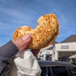 Bagel Street Cafe - Onion bagel with sundry tomato spread