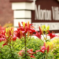 Morton Villa HealthCare and Rehabilitation Centre