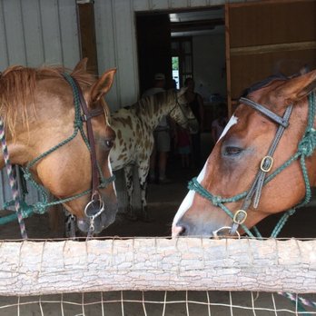 Chunky Gal Stables - Horseback Riding Near Me - Hayesville, North Carolina