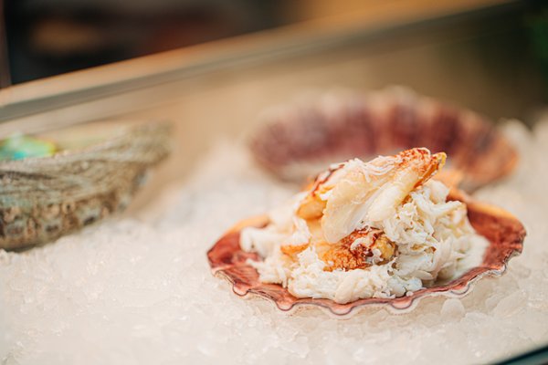 Miami Shores Fish Market "The Shores" by null