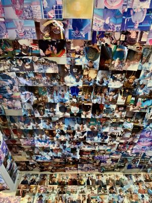 Sylvester's Burgers by null