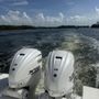Blacktip Marine