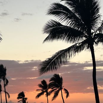 Sunset Terrace - Bars Near Me - Kailua-Kona, Hawaii