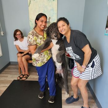 Arya Animal Acupuncture - A huge welcome to Bruno and his Mum to the Arya Animal Acupuncture family! - Holistic Animal Care Near Me - Glenview, Illinois Arya Animal Acupuncture - A huge welcome to Bruno and his Mum to the Arya Animal Acupuncture family! - Holistic Animal Care Near Me - Glenview, Illinois