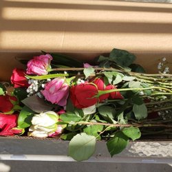Costco Florist - Wilting flowers