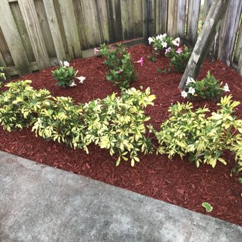 Nerak - Lawn Services Near Me - Miami, Florida Nerak - Lawn Services Near Me - Miami, Florida