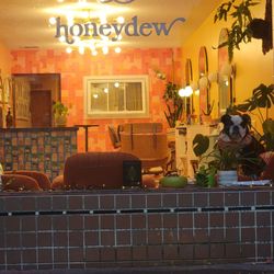 Honeydew - The front window with a precious Sweet Pea watching me.
