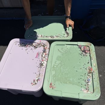 Mini U Storage - Rat poop and pee over all of our bins. - Self Storage Near Me - Atascadero, California Mini U Storage - Rat poop and pee over all of our bins. - Self Storage Near Me - Atascadero, California