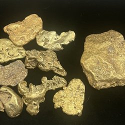 Placerville Coin