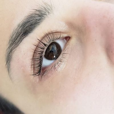 Virtue Lash by null